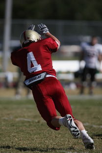 九游手游官网-冠军球队赛季告别仪式感人,感恩球员与球迷,球队夺冠怎么发朋友圈