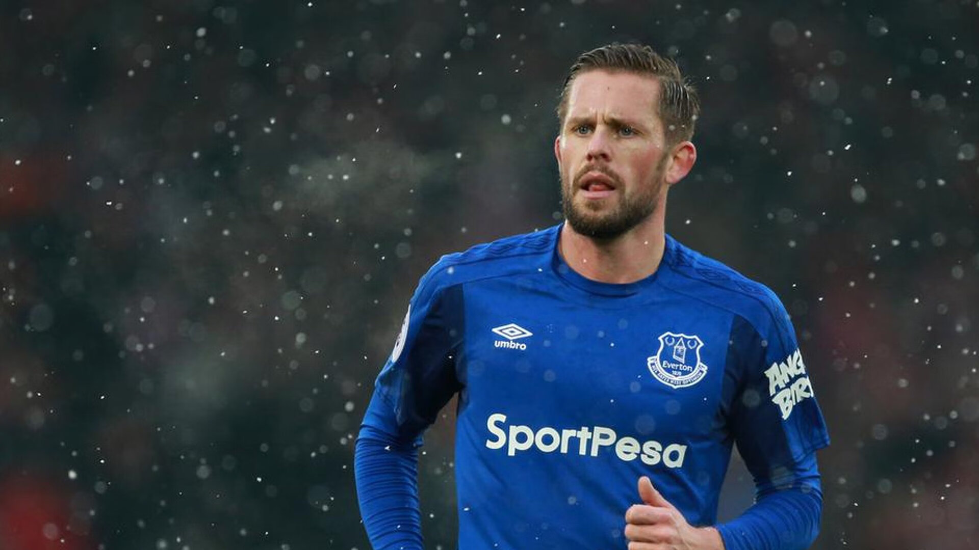 冠军球队赛季广告片发布引发粉丝讨论与转发,冠军宣传片